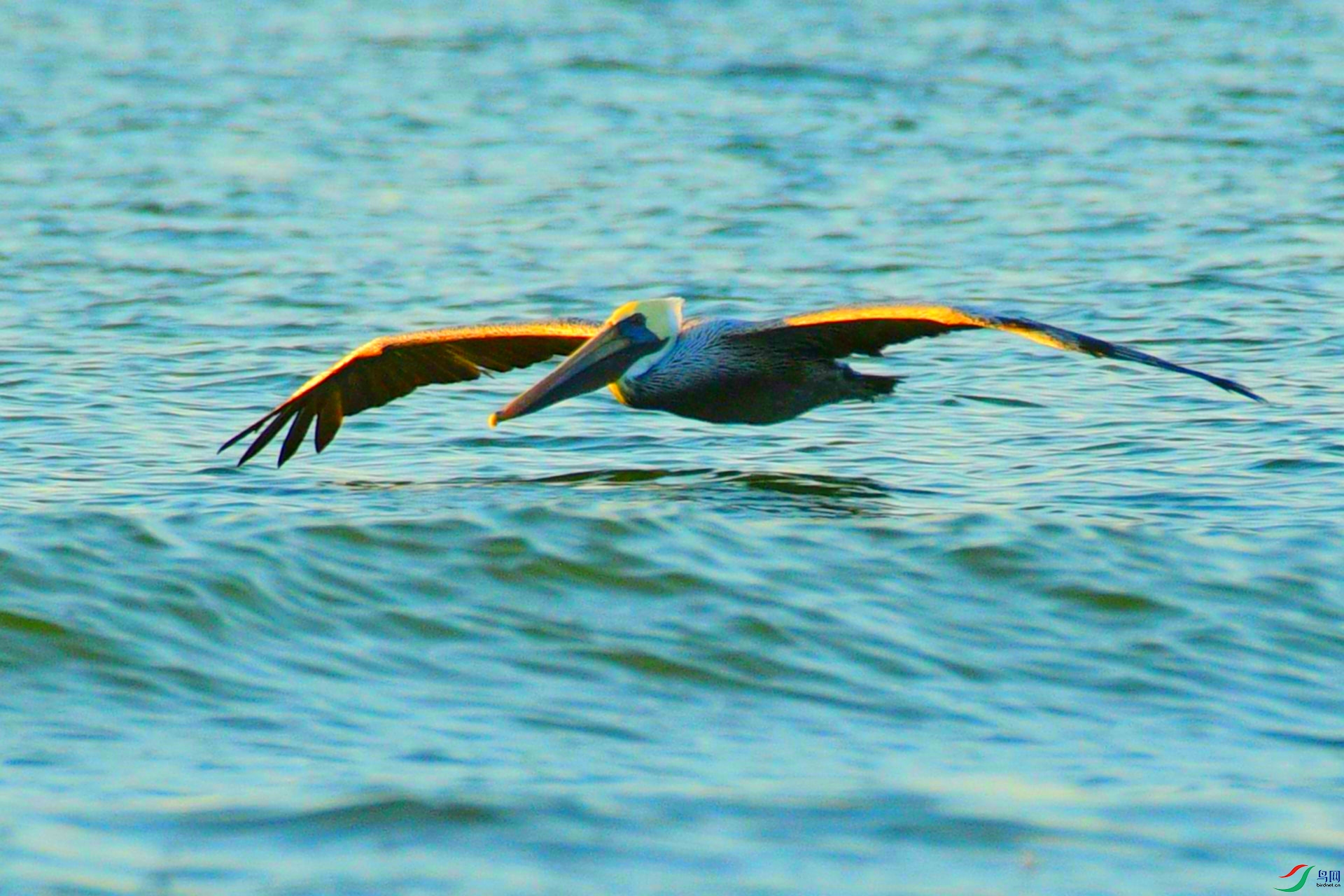 DSC_1318_���� - ����.jpg