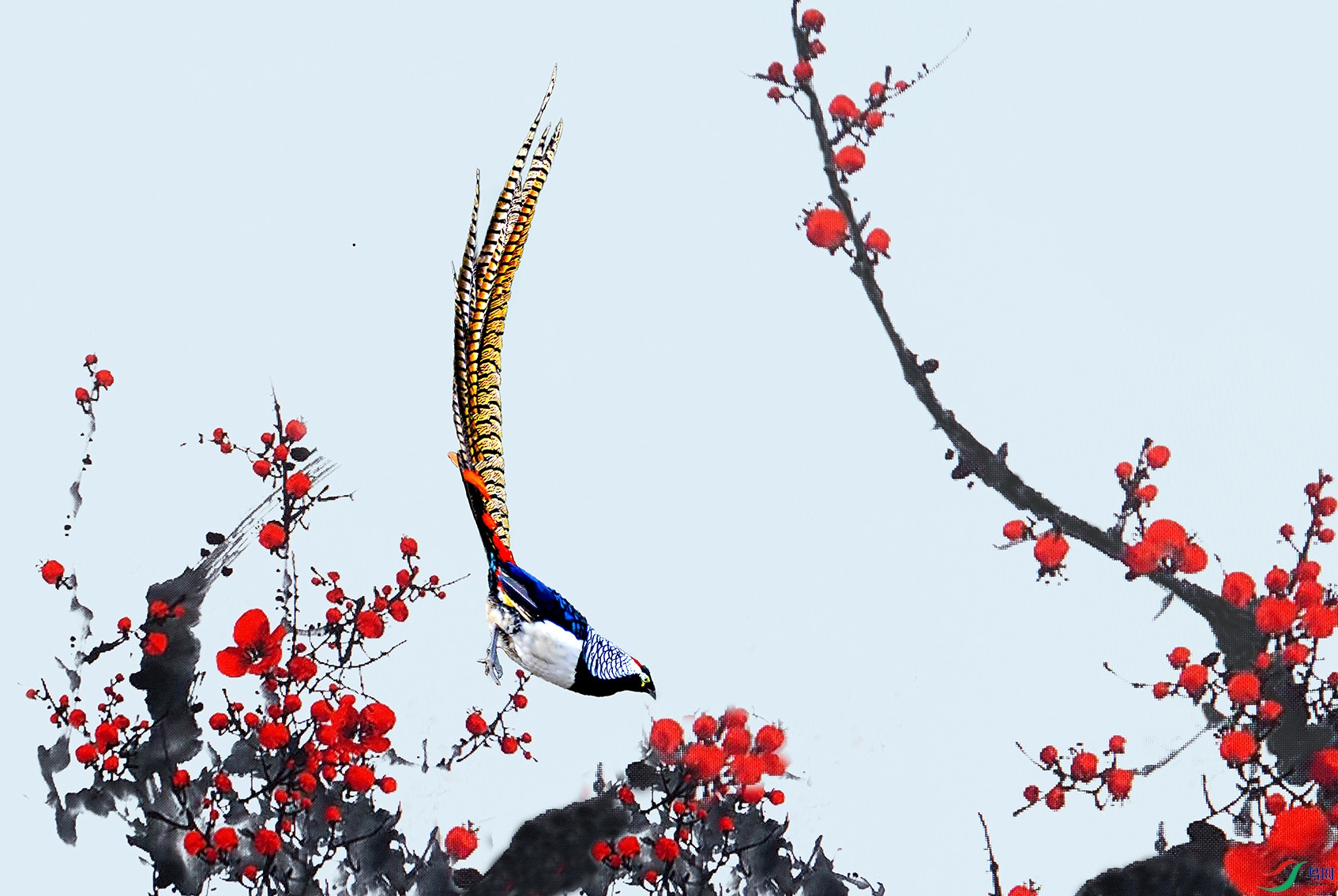 5.��÷�ν���8362AM.jpg