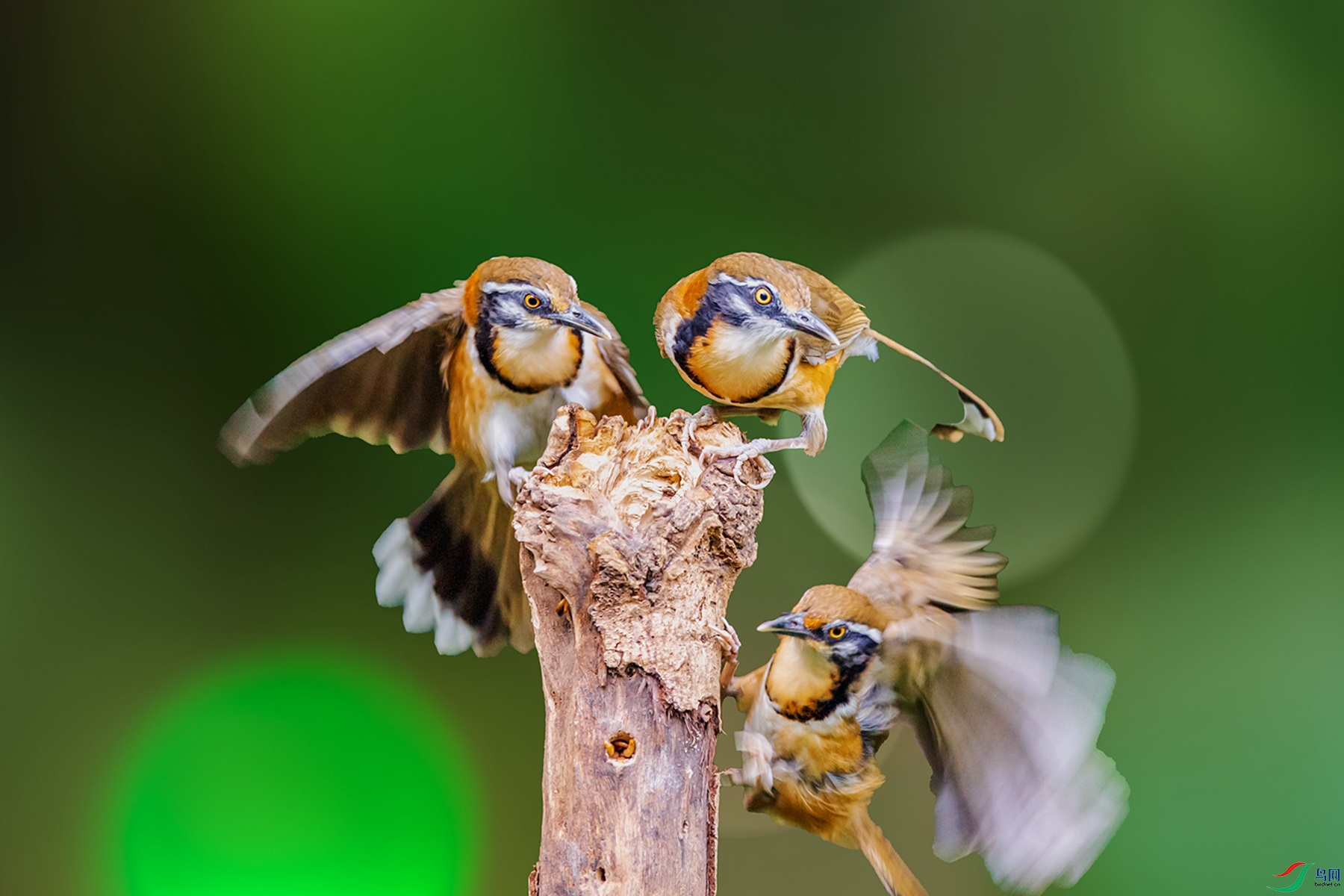 _DSC6642P_����.jpg