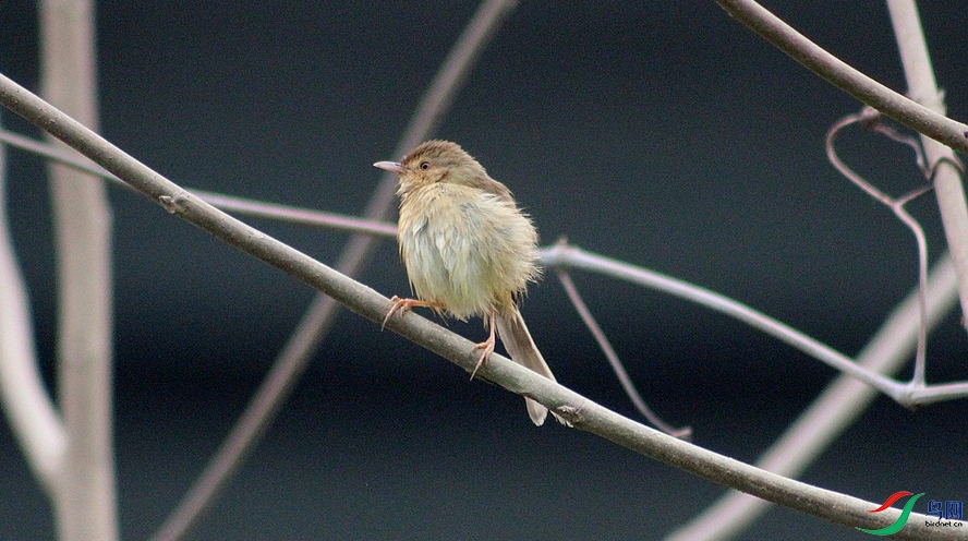 IMG_0035.jpg