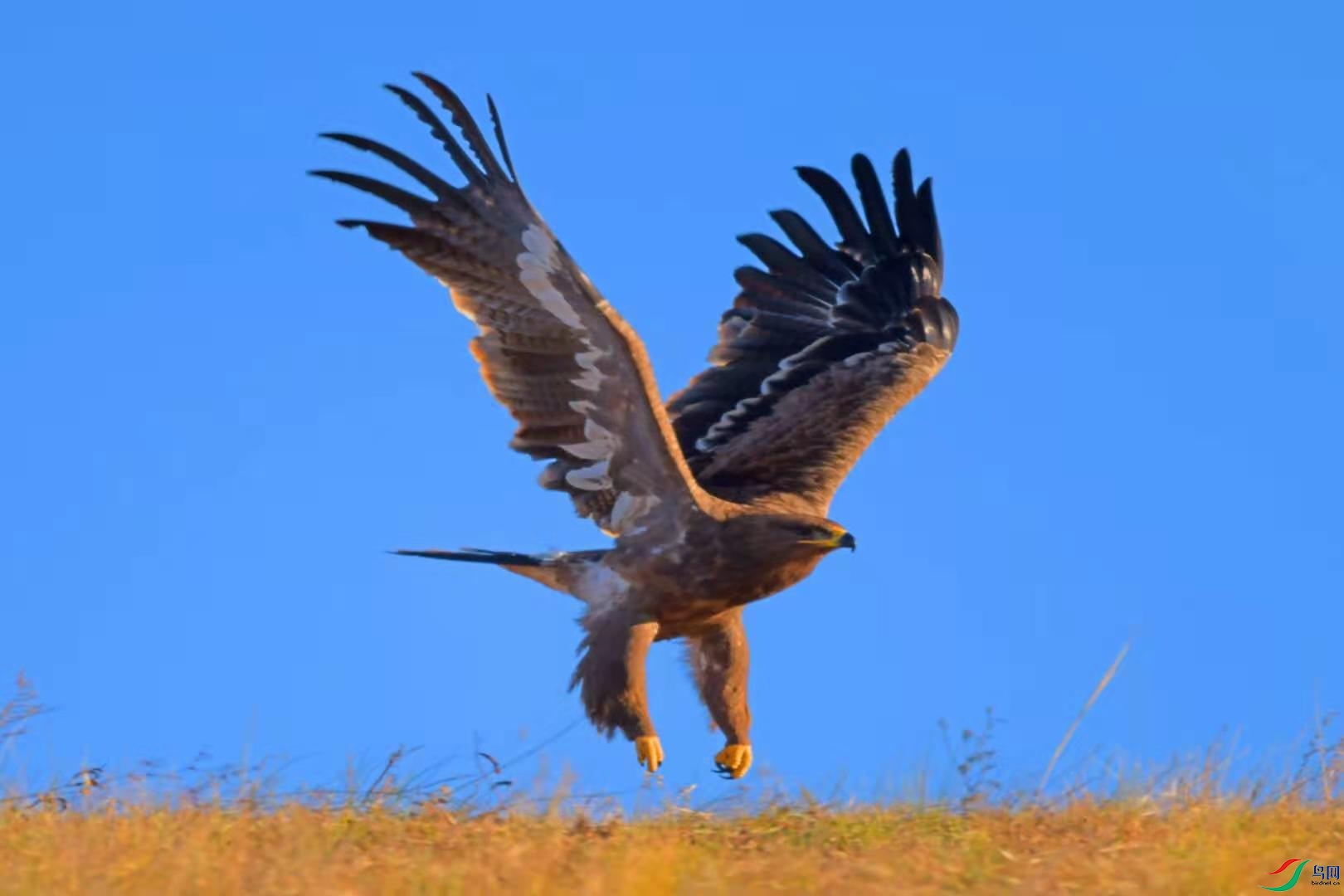 a38021b25b966a6ef83ea4bea0c7556.jpg
