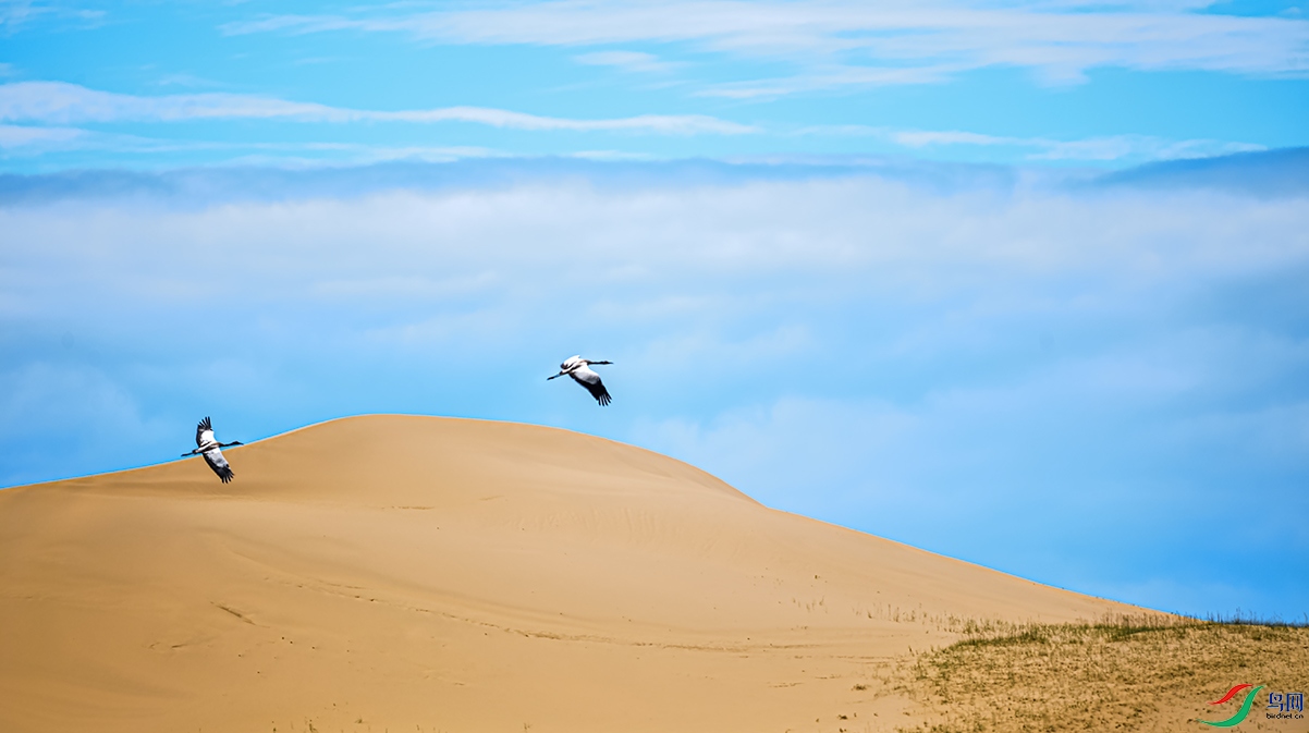 _DSC3566a.jpg