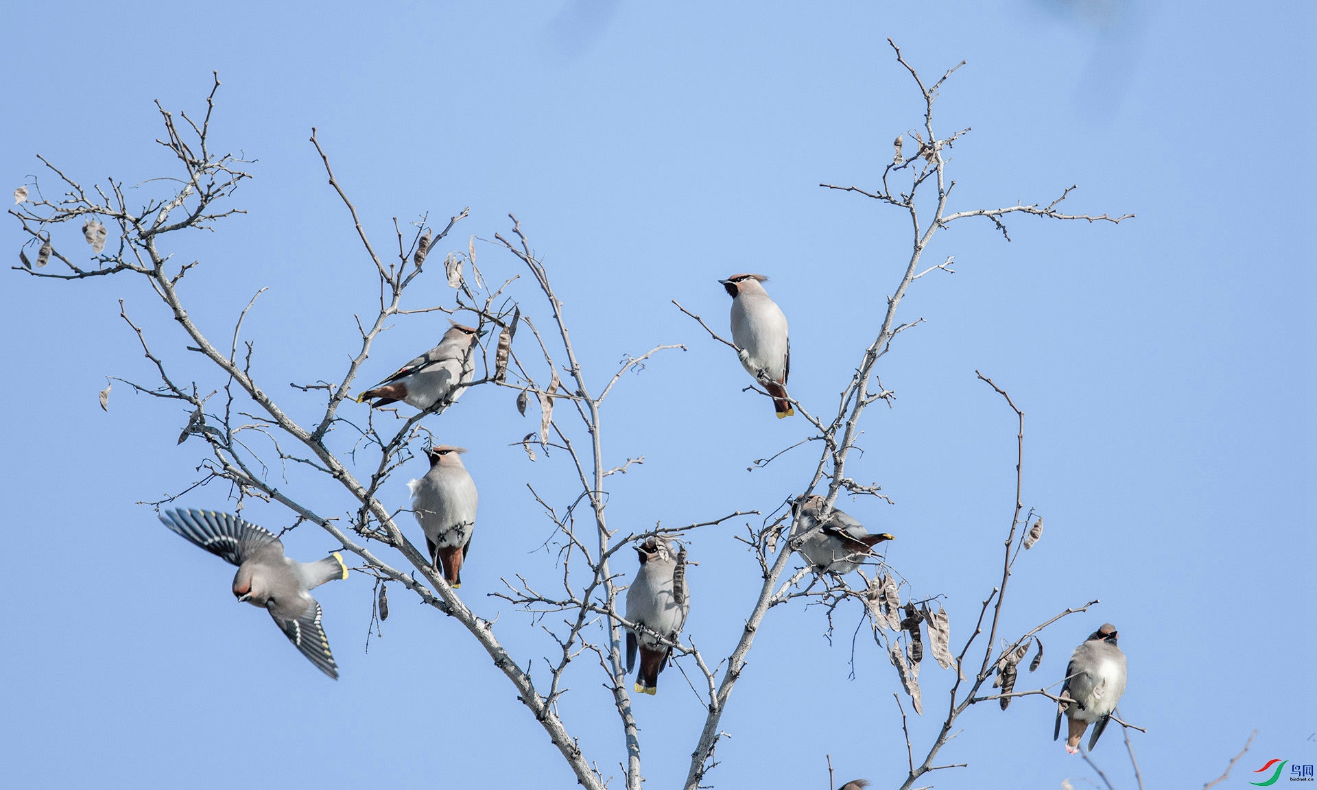 DSC_7075_1.jpg