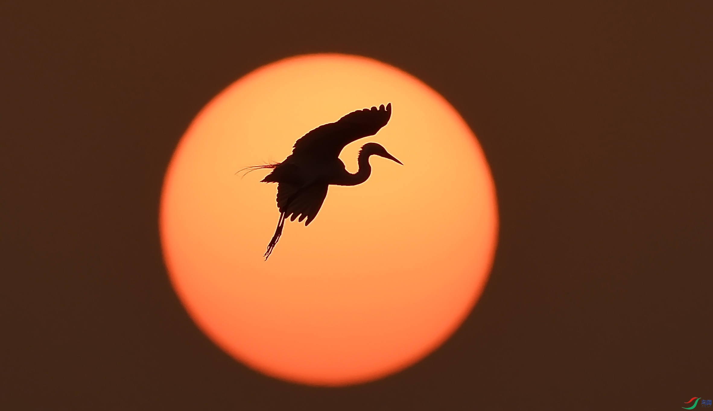 DSC_5749.JPG