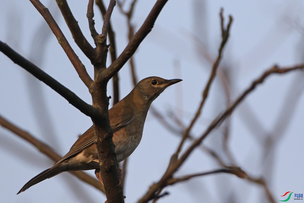 ʲô� 0F4A1701.jpg