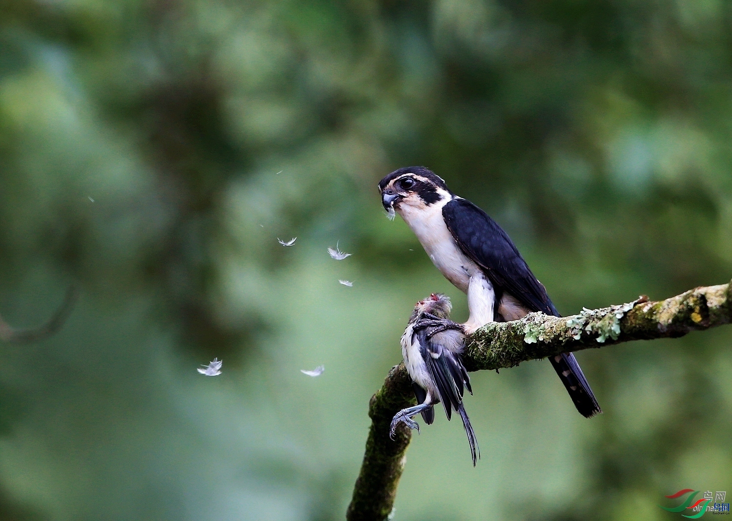 Ұɽ  ��ʦ�����ڽ���ʡ��������Դ��.jpg