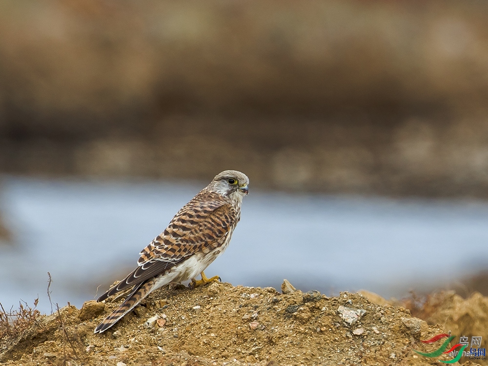 ��������  ��ʦ����������ʡ �������躣��.jpg