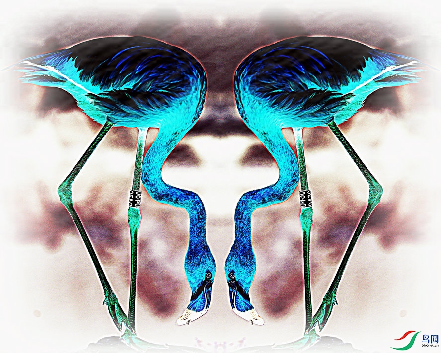 BW6I1055_����_����2_����_����.JPG