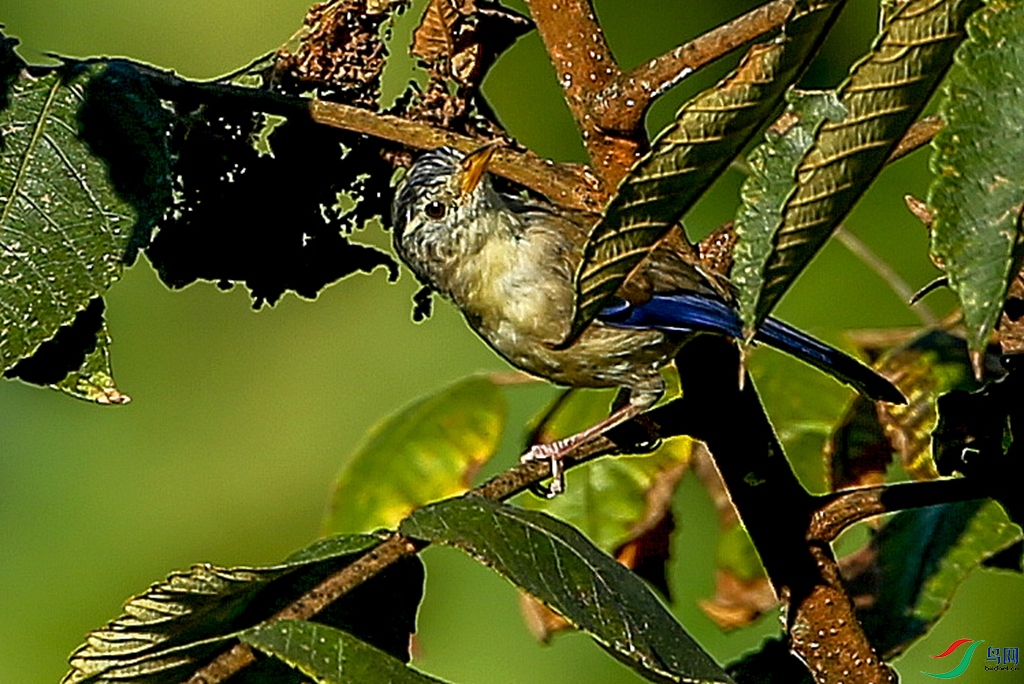 AB1I3509.JPG