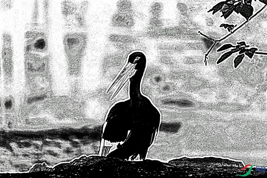 BW6I1163_����_����2_����1_����.jpg