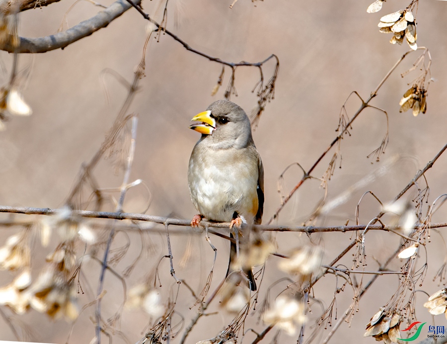 DSC_5734.jpg