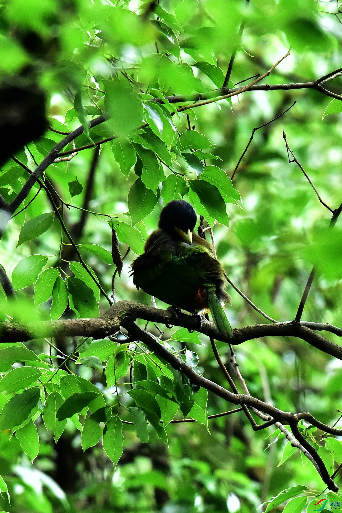 DSC_0737.JPG