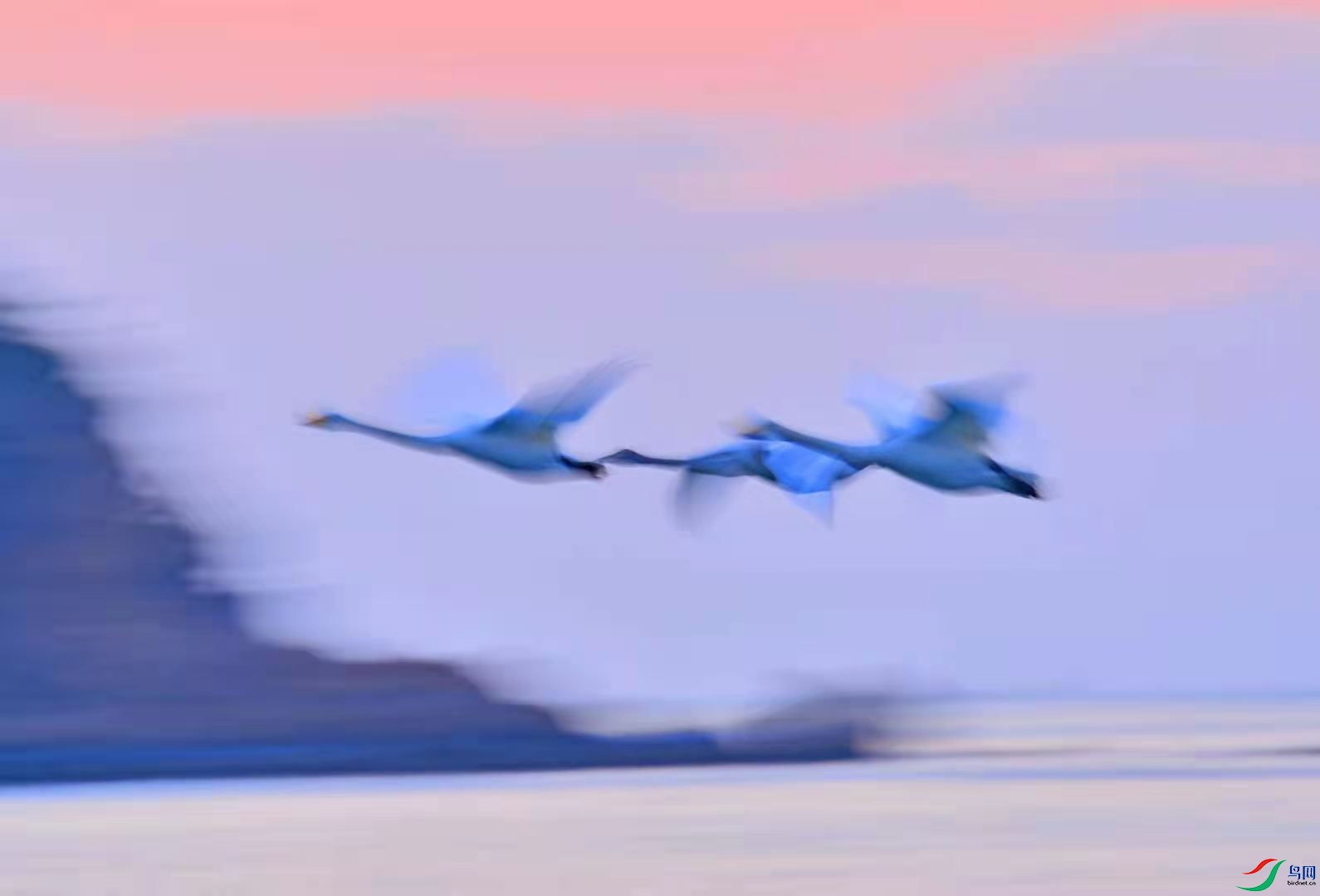 b752de55a6b08ed7a3347a5e295c90a.jpg