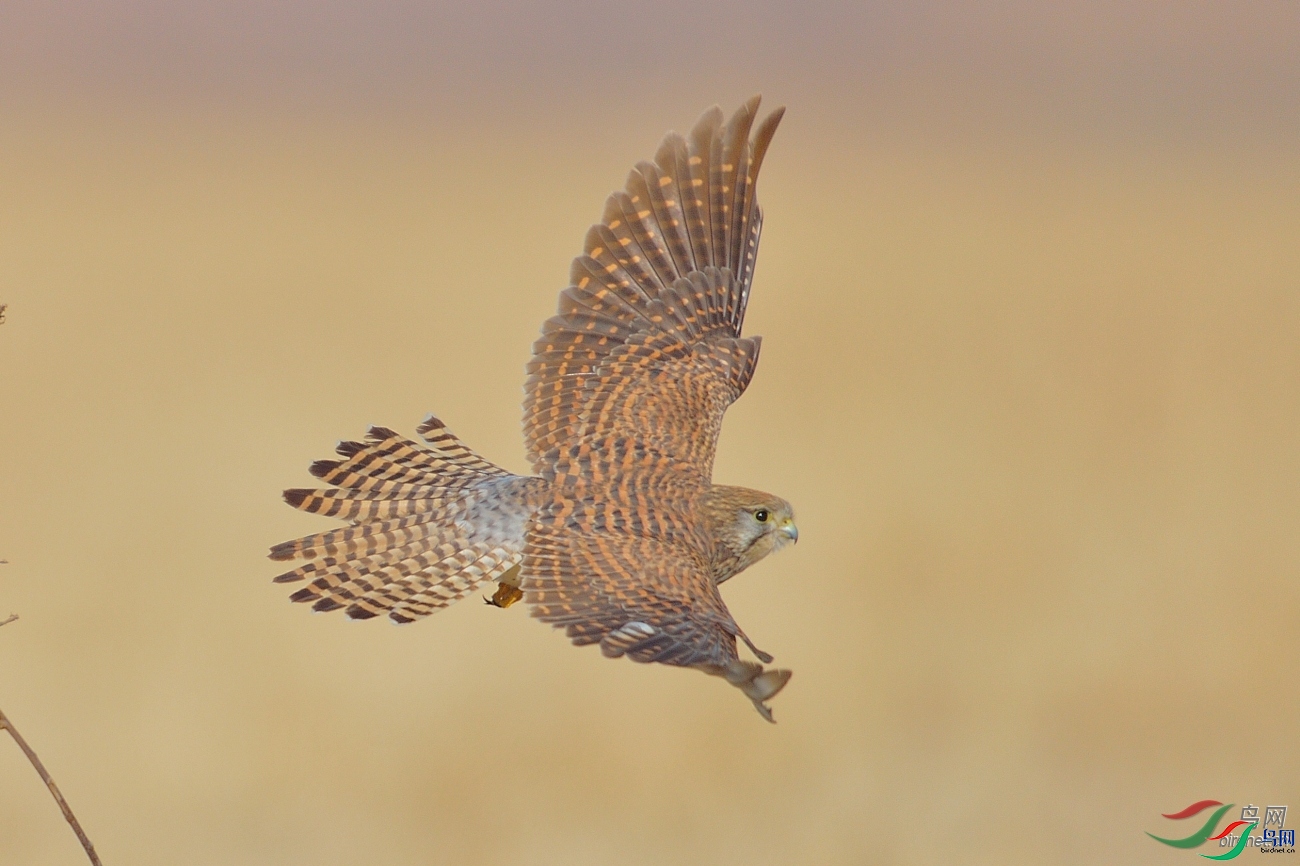 С�� ��ʦ����������ʡ������.jpg