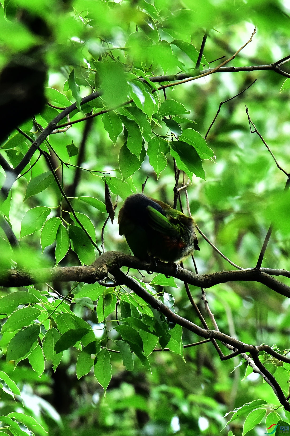 DSC_0742.JPG