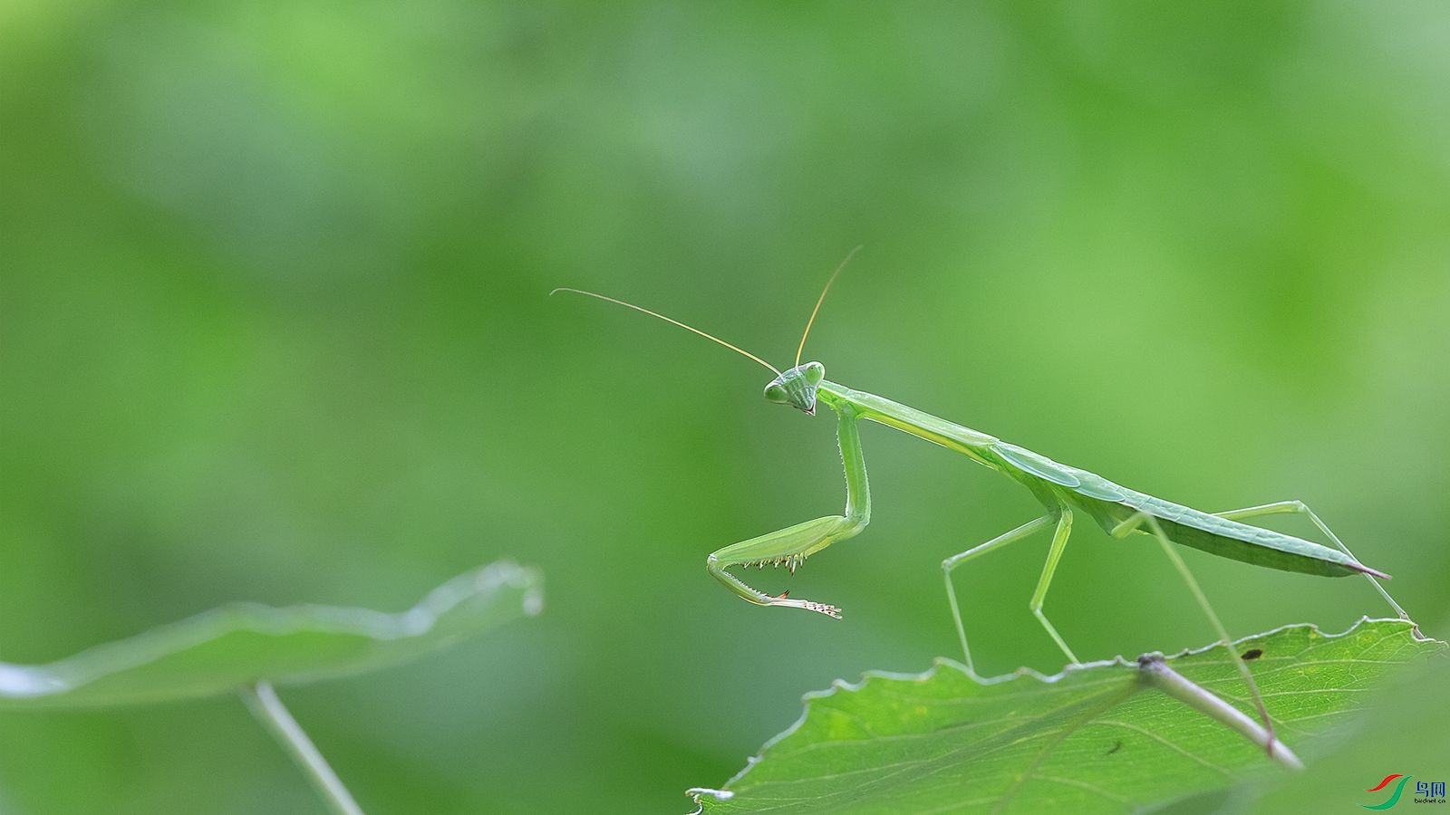 7G9A0849-1 (2)_����.jpg