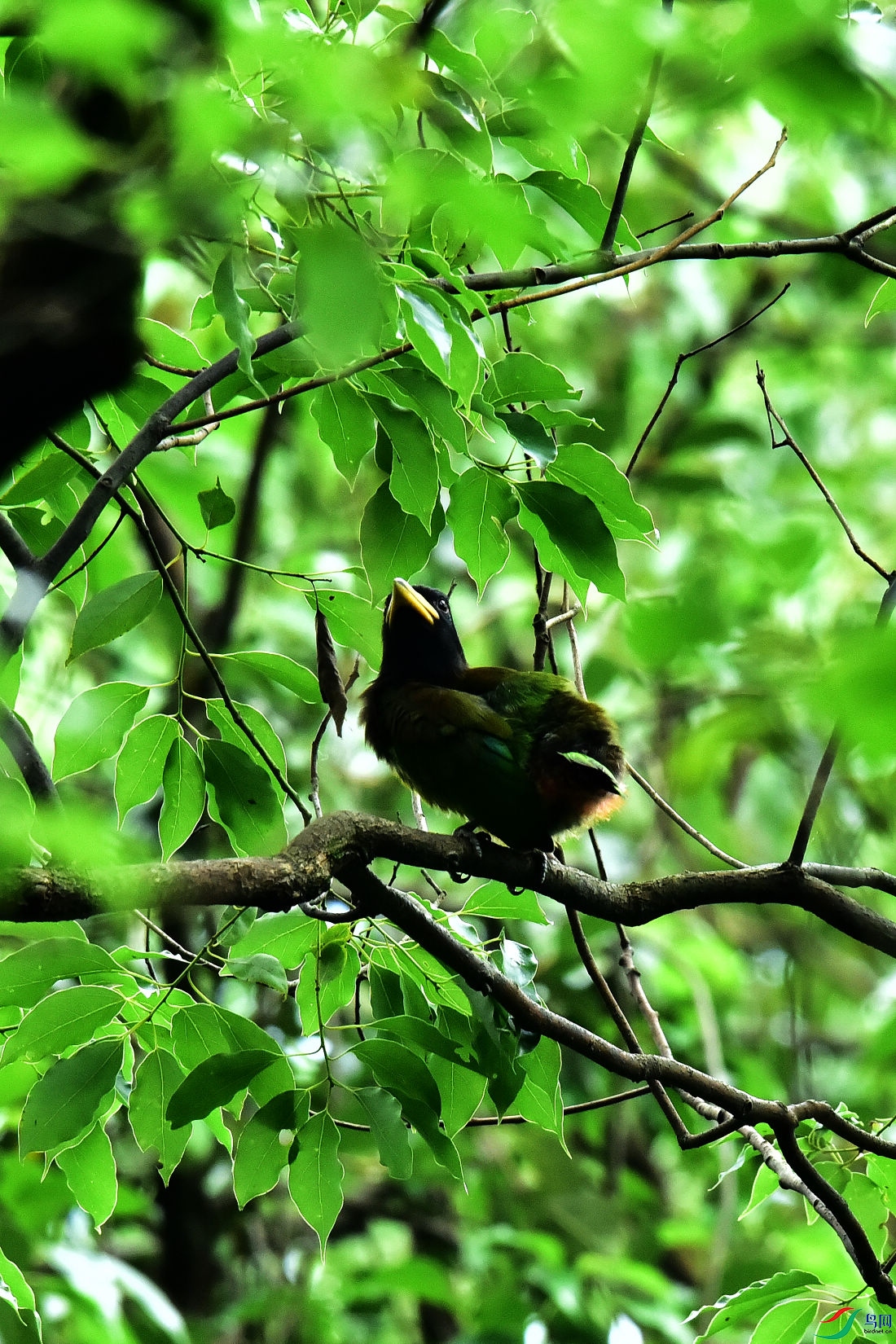 DSC_0746.JPG
