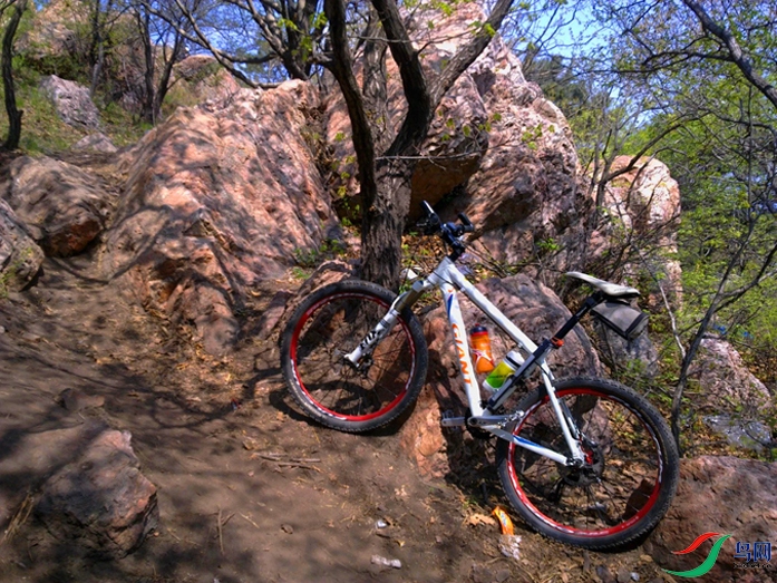 QQphoto (31)-01-p-2.jpg