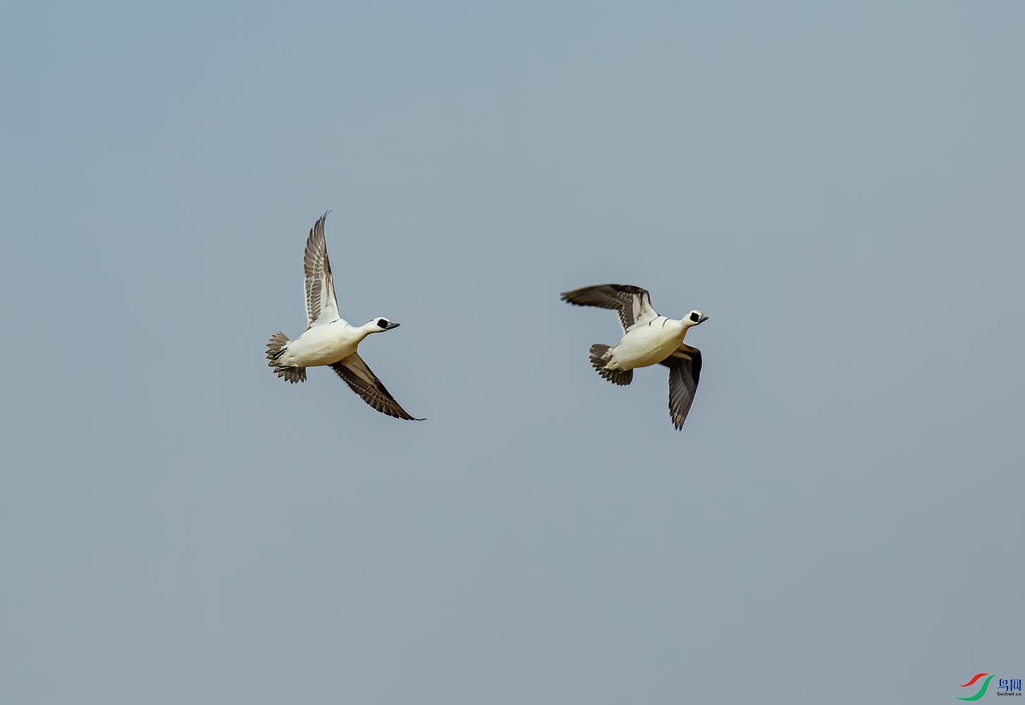 K7D02994-D.jpg
