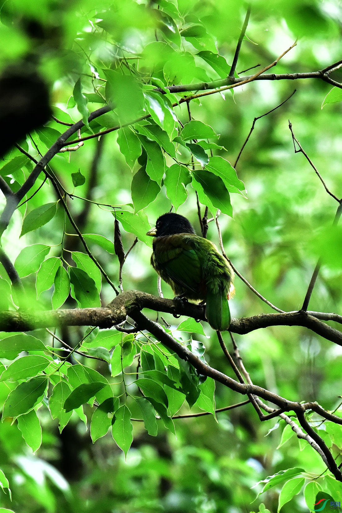 DSC_0748.JPG