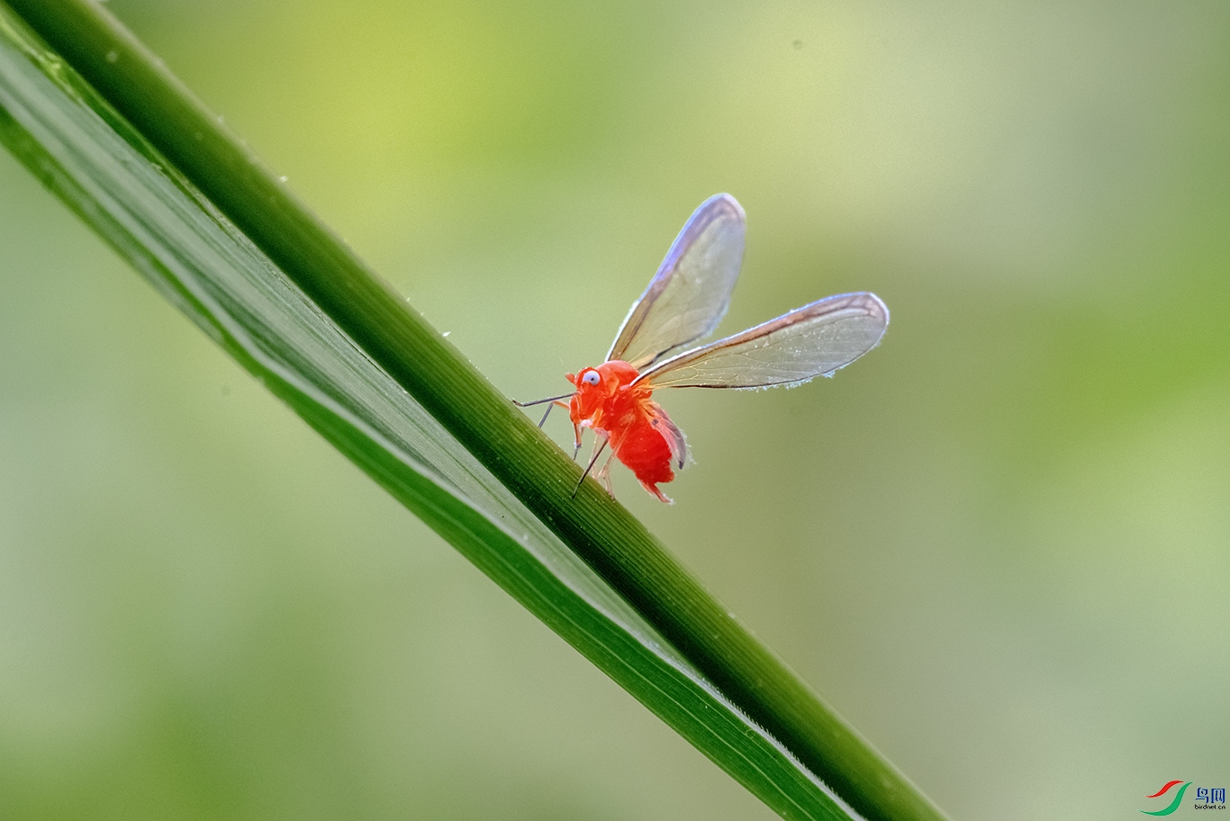 DSC_1646.2.jpg
