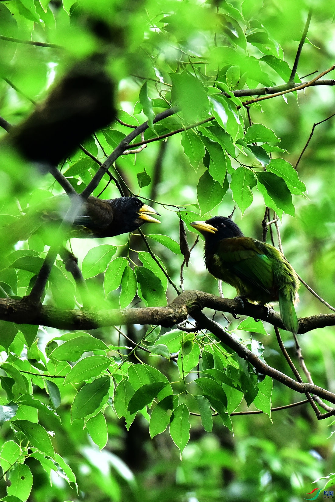 DSC_0750.JPG