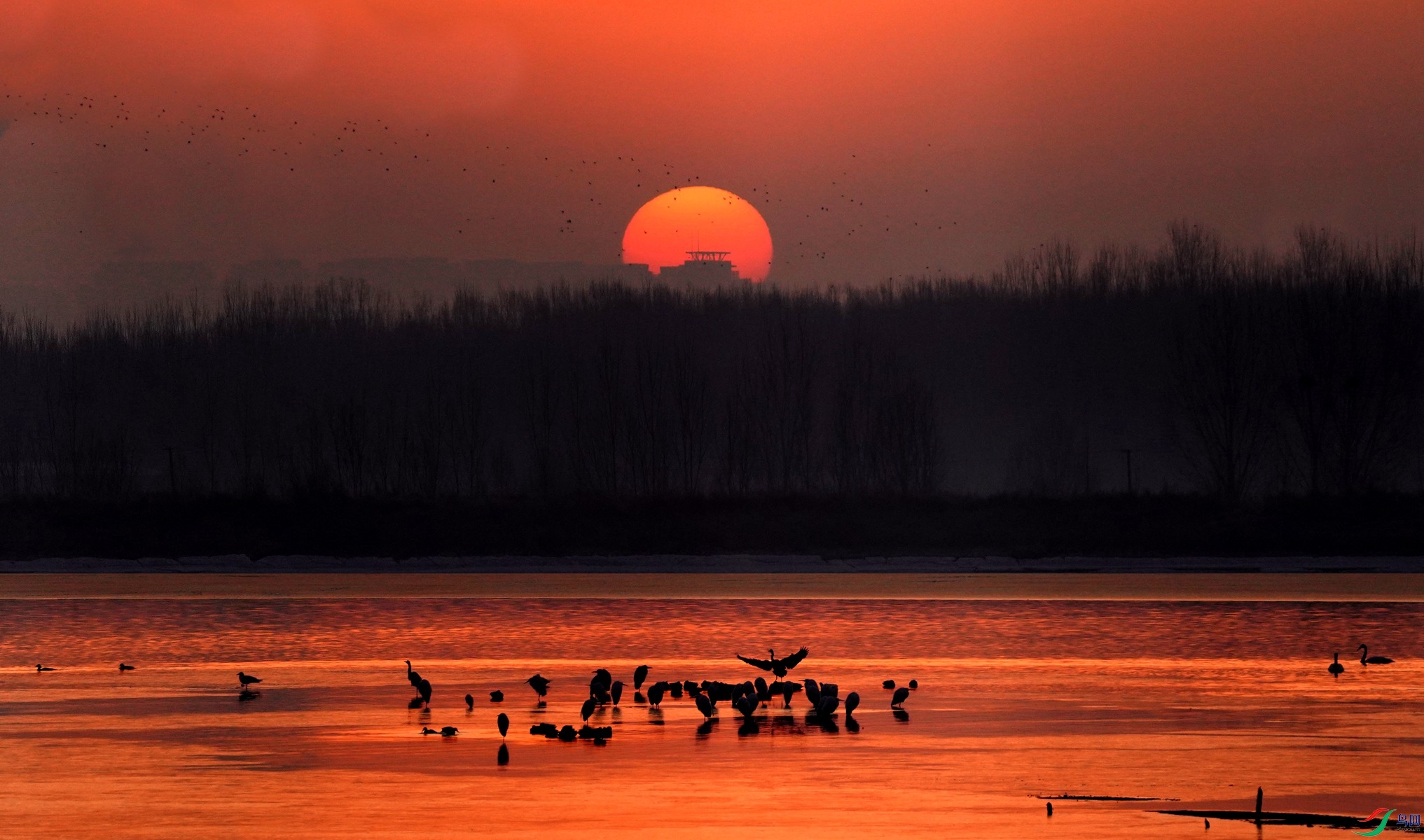 1 DSC07810,_����.jpg