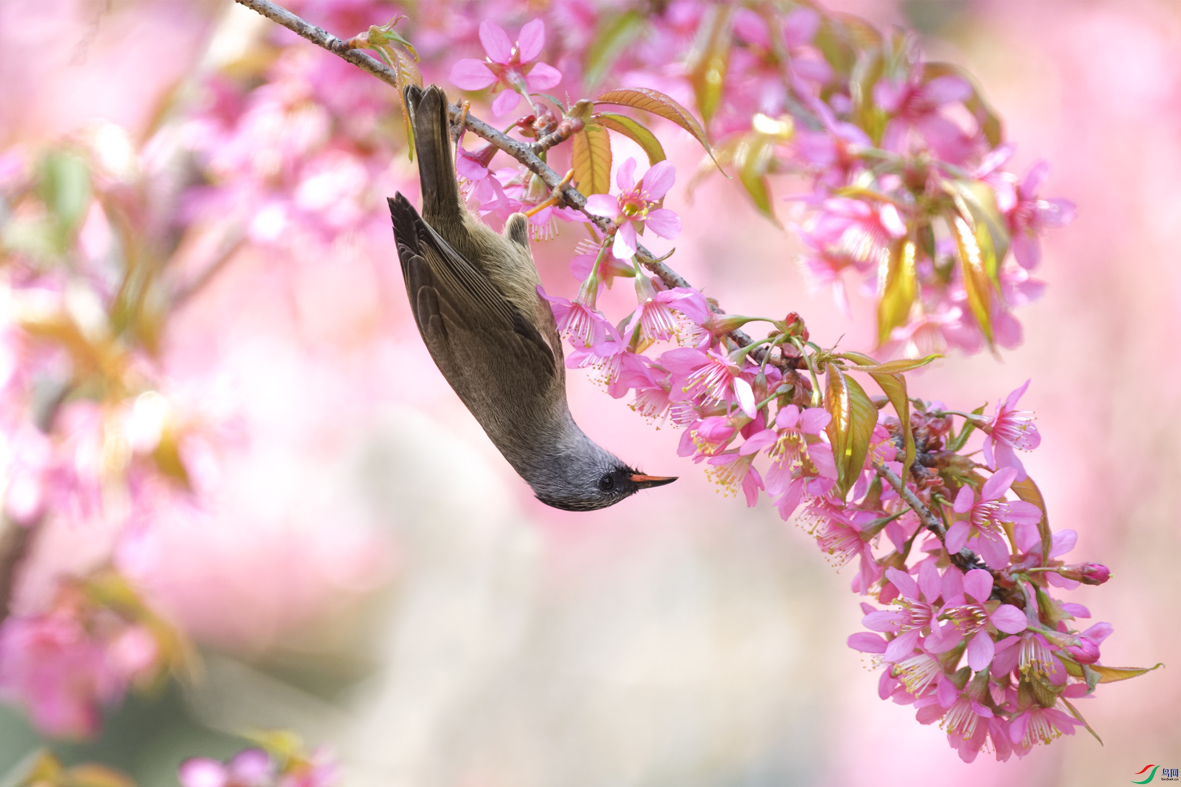_DSC7592_DxO.jpg