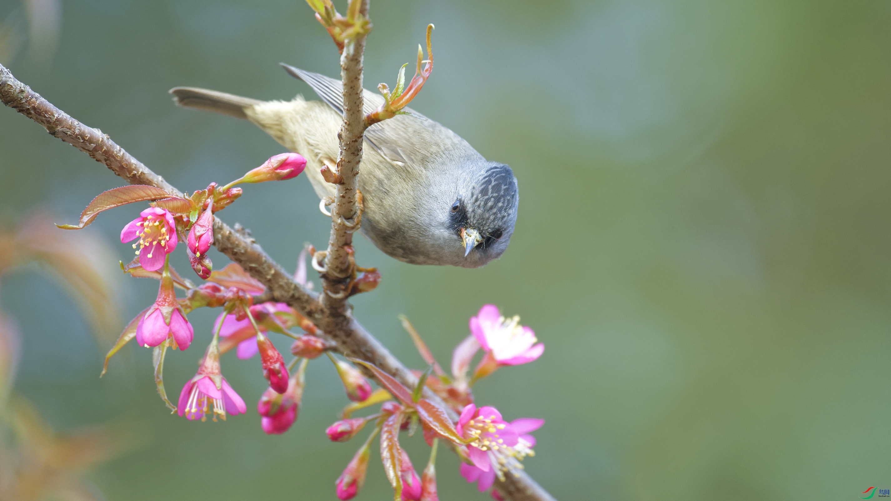 _DSC7862_DxO.jpg