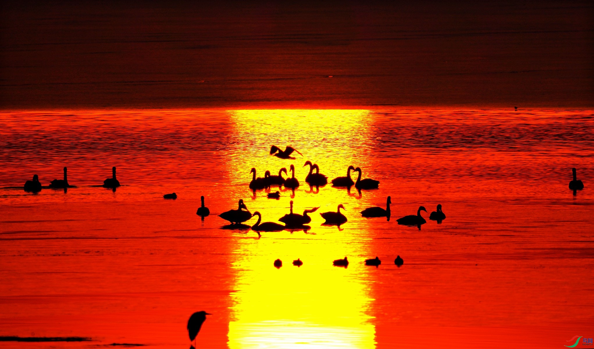 1 DSC07887,_����.jpg