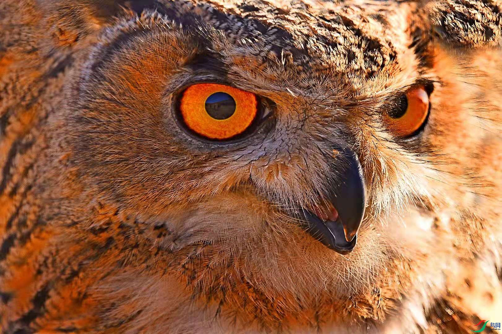 0f0ab8830813fd580b532bd7918f7c2.jpg