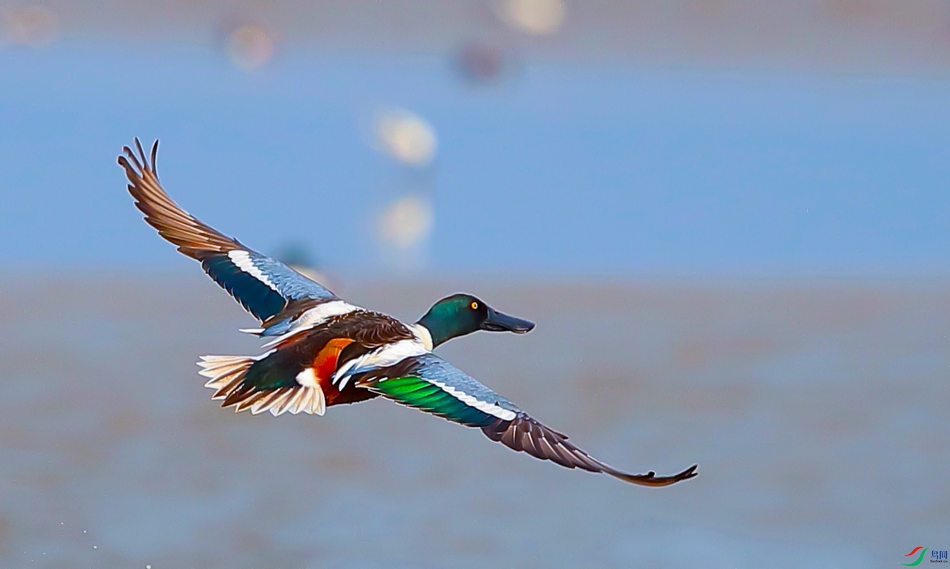 FullSizeRe8nder (1).jpg