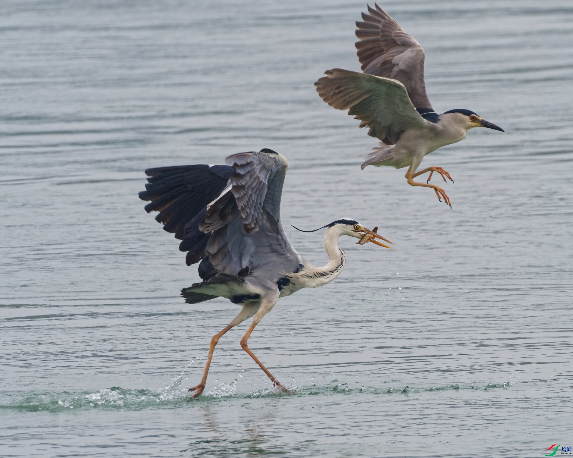 P5221072_DxO-d2.jpg