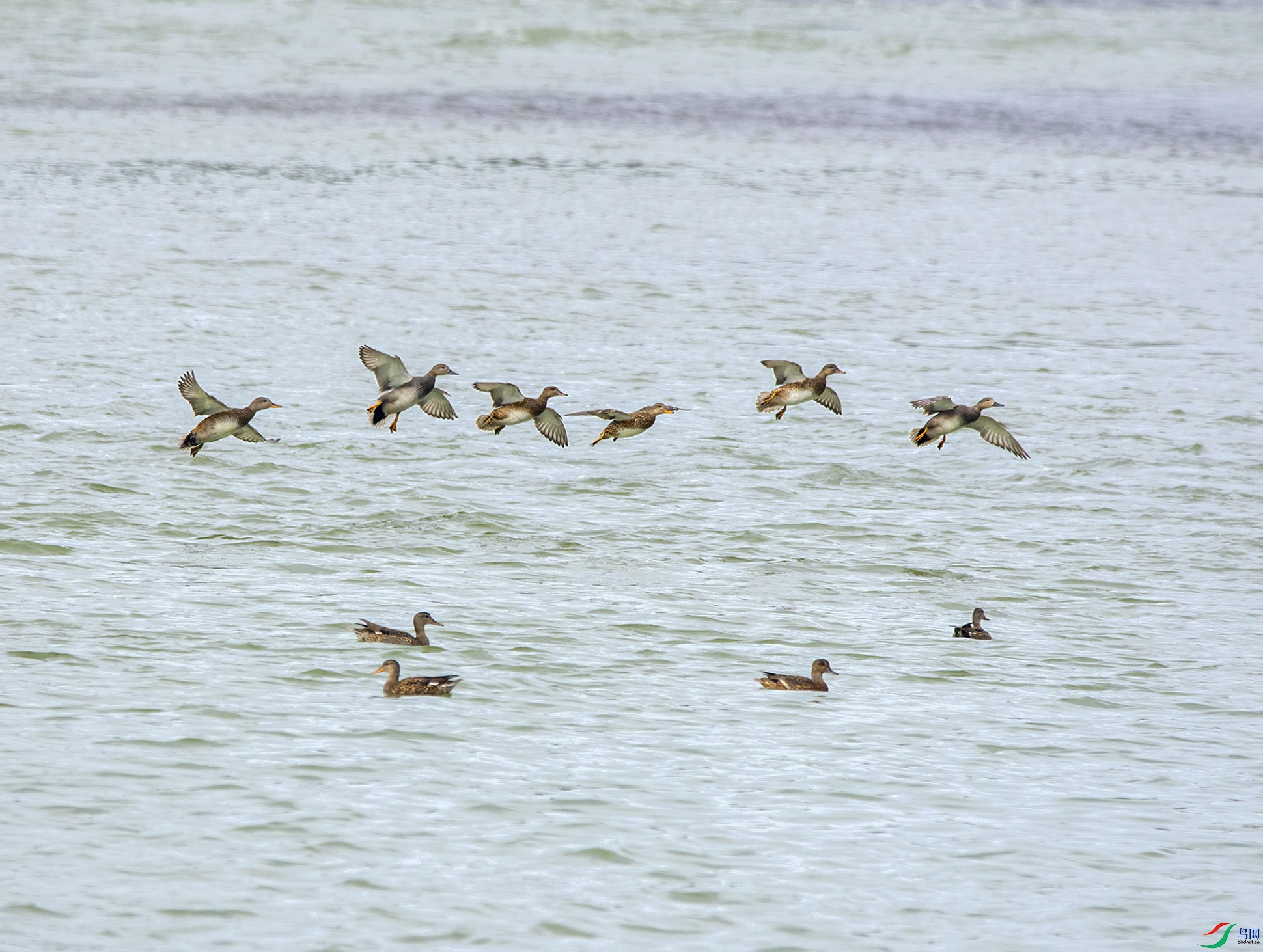 DSC_5968.jpg