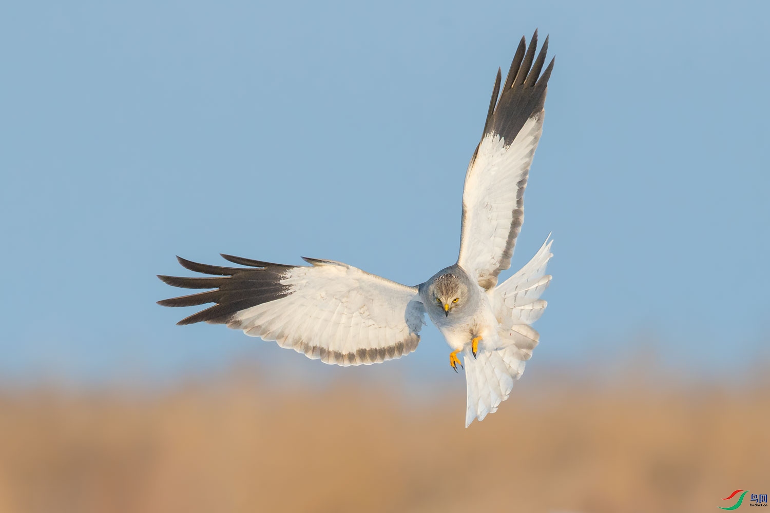 YBI_8436.jpg
