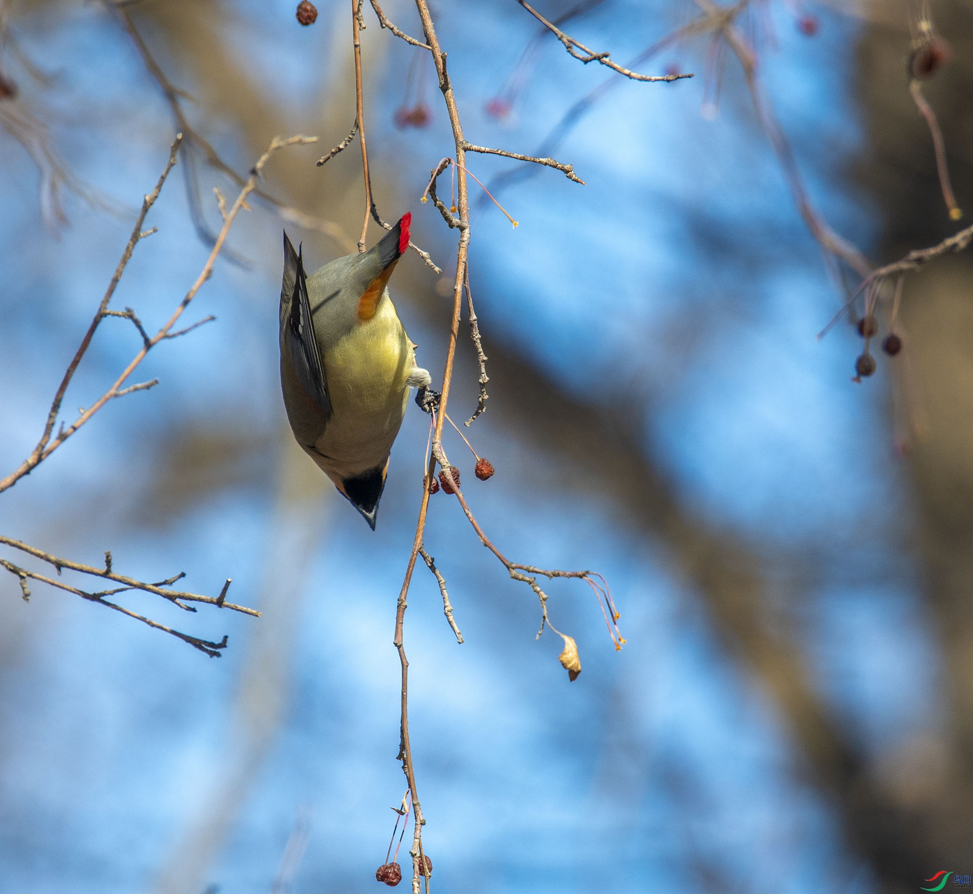 DSC_7410.jpg