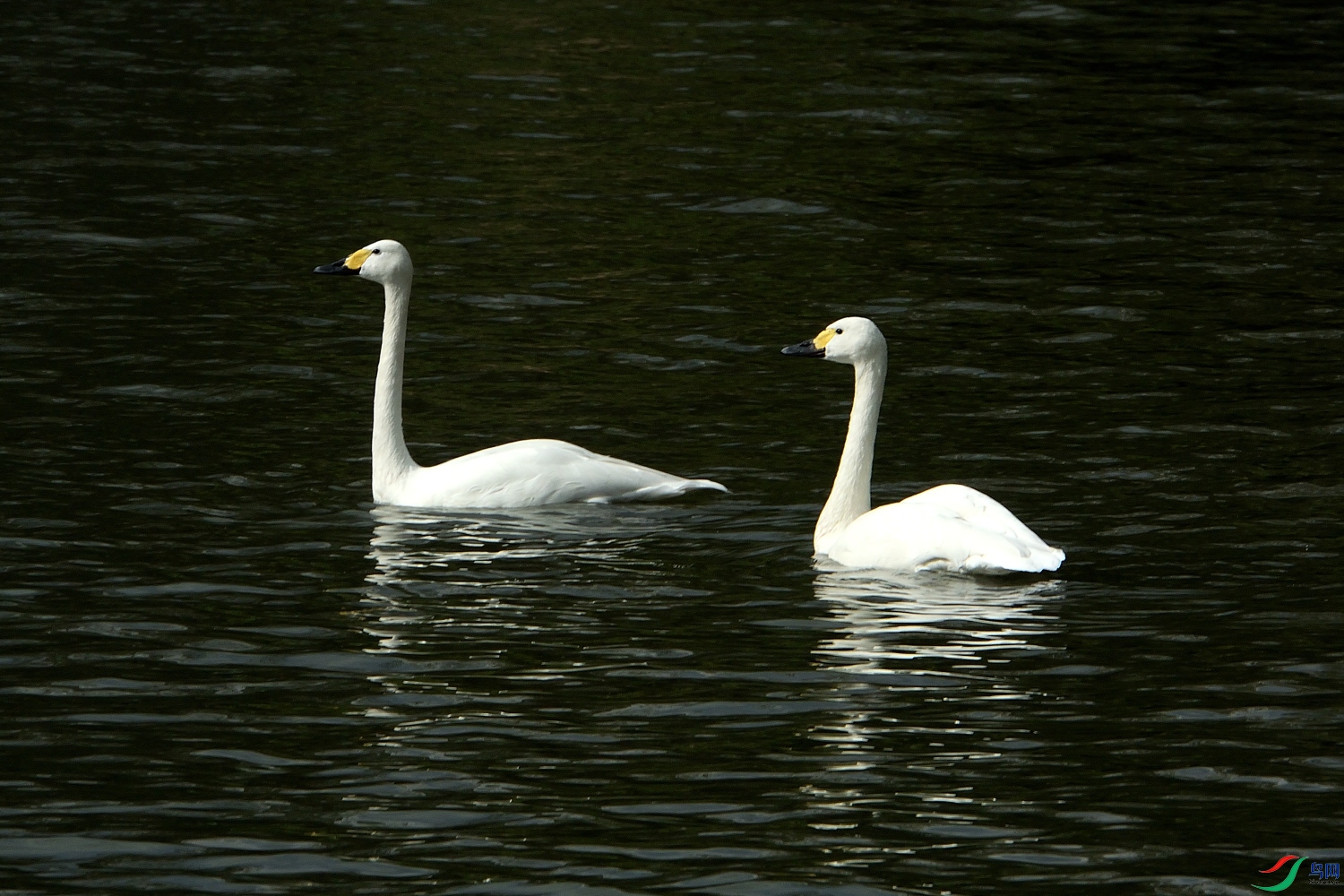 DSC_9751_00005.jpg