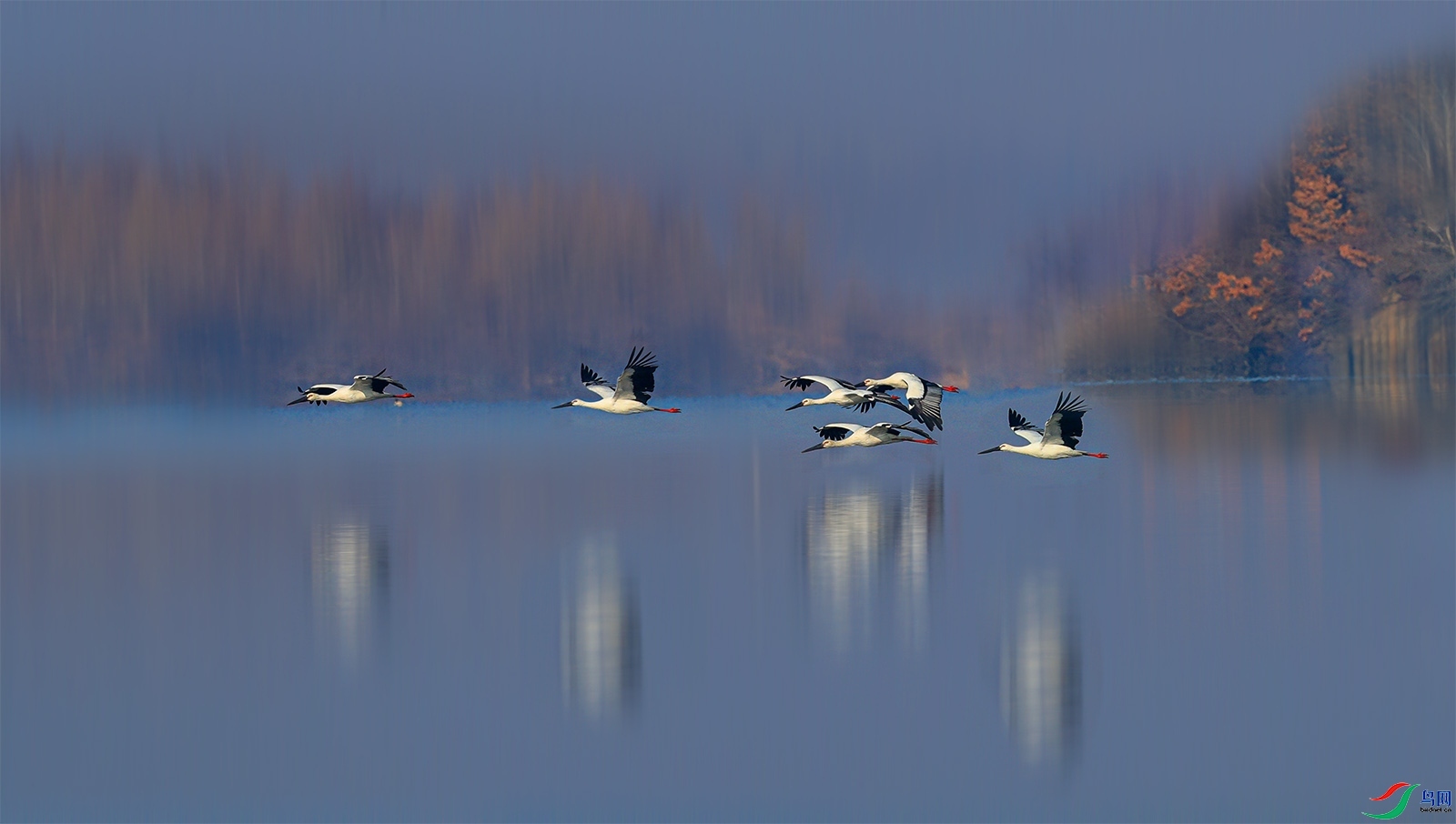 222103tu0488srrvjr6vzn.jpg
