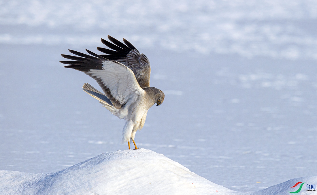 _DSC2748==1x.jpg
