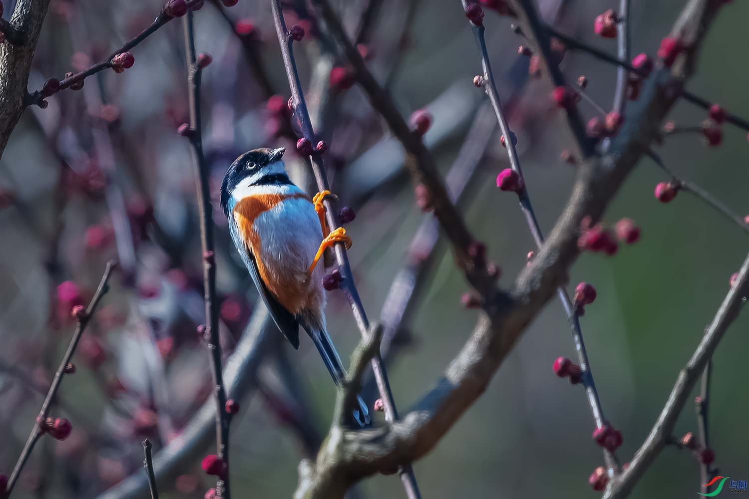 DSC_5109-2.jpg