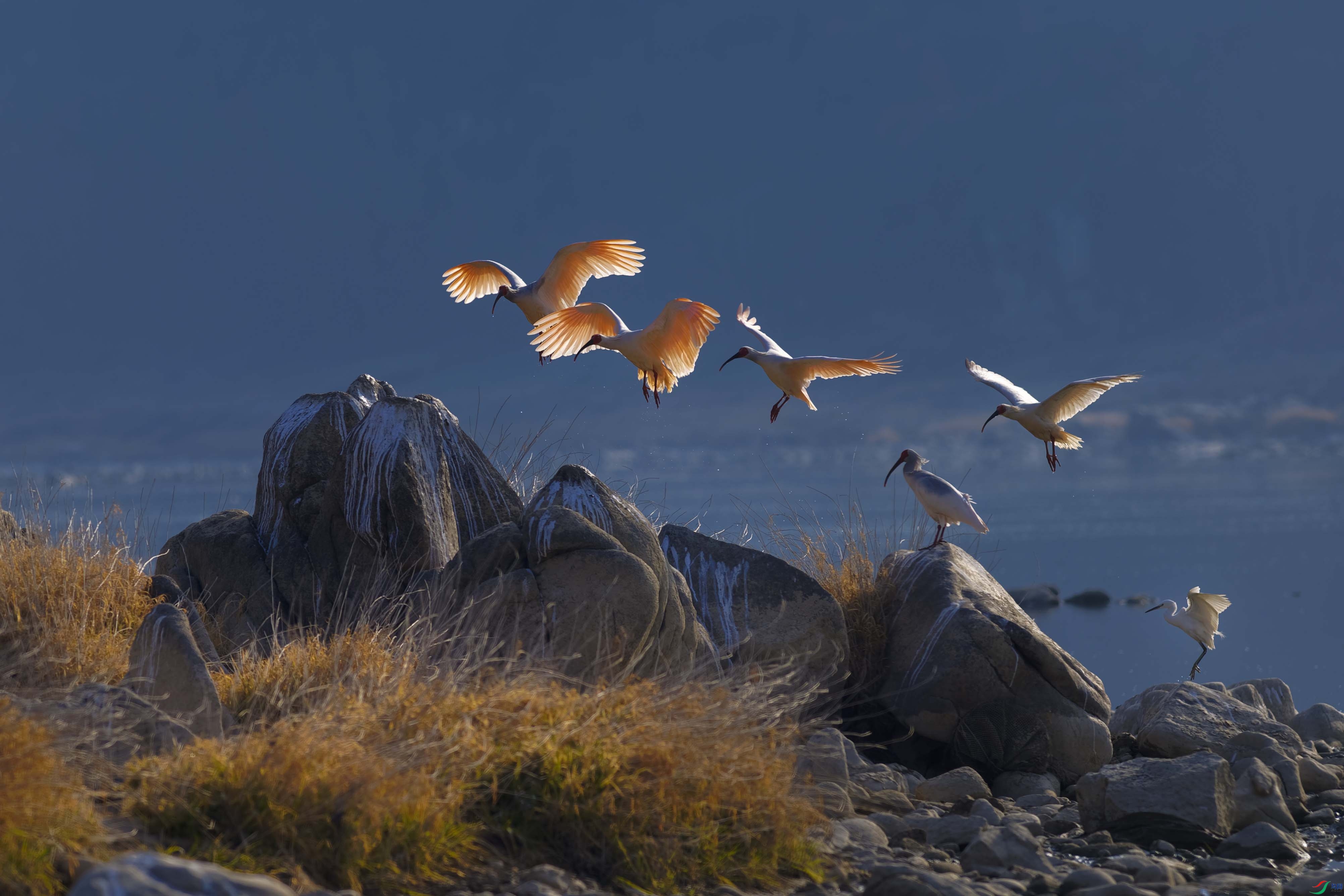 _DSC1737_DxO ����.jpg