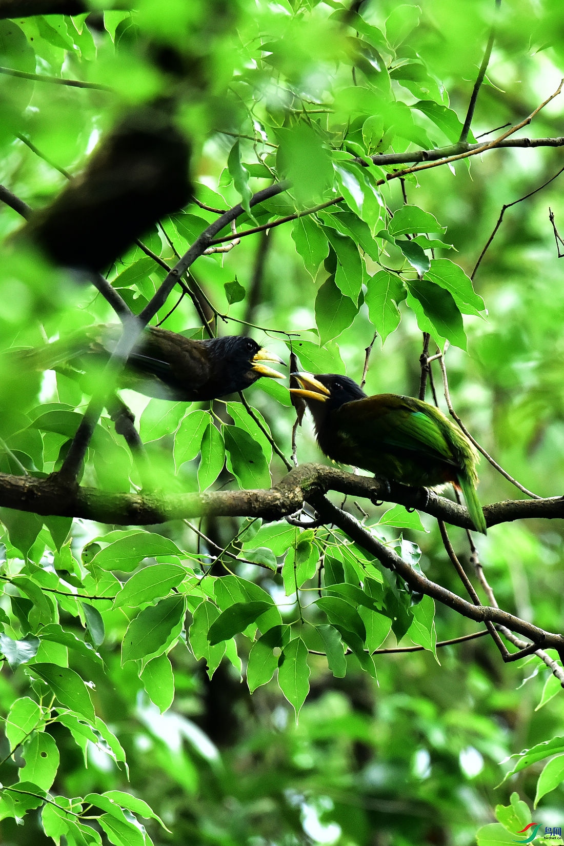 DSC_0755.JPG