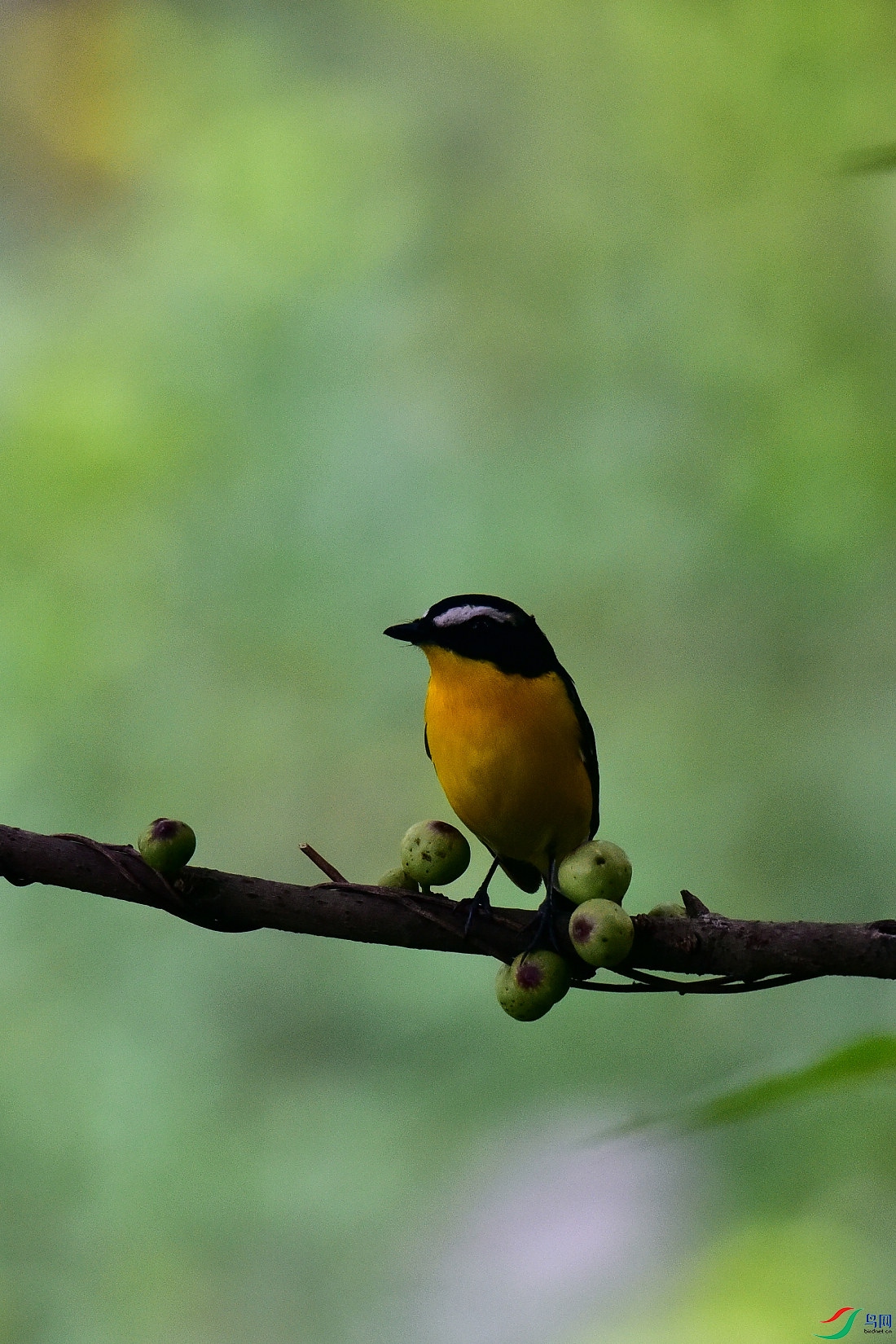 DSC_0555.JPG