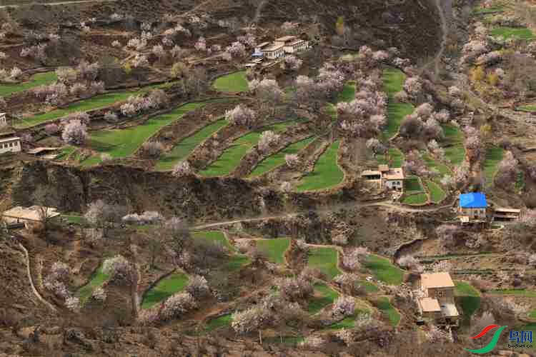 0S2A0930.JPG