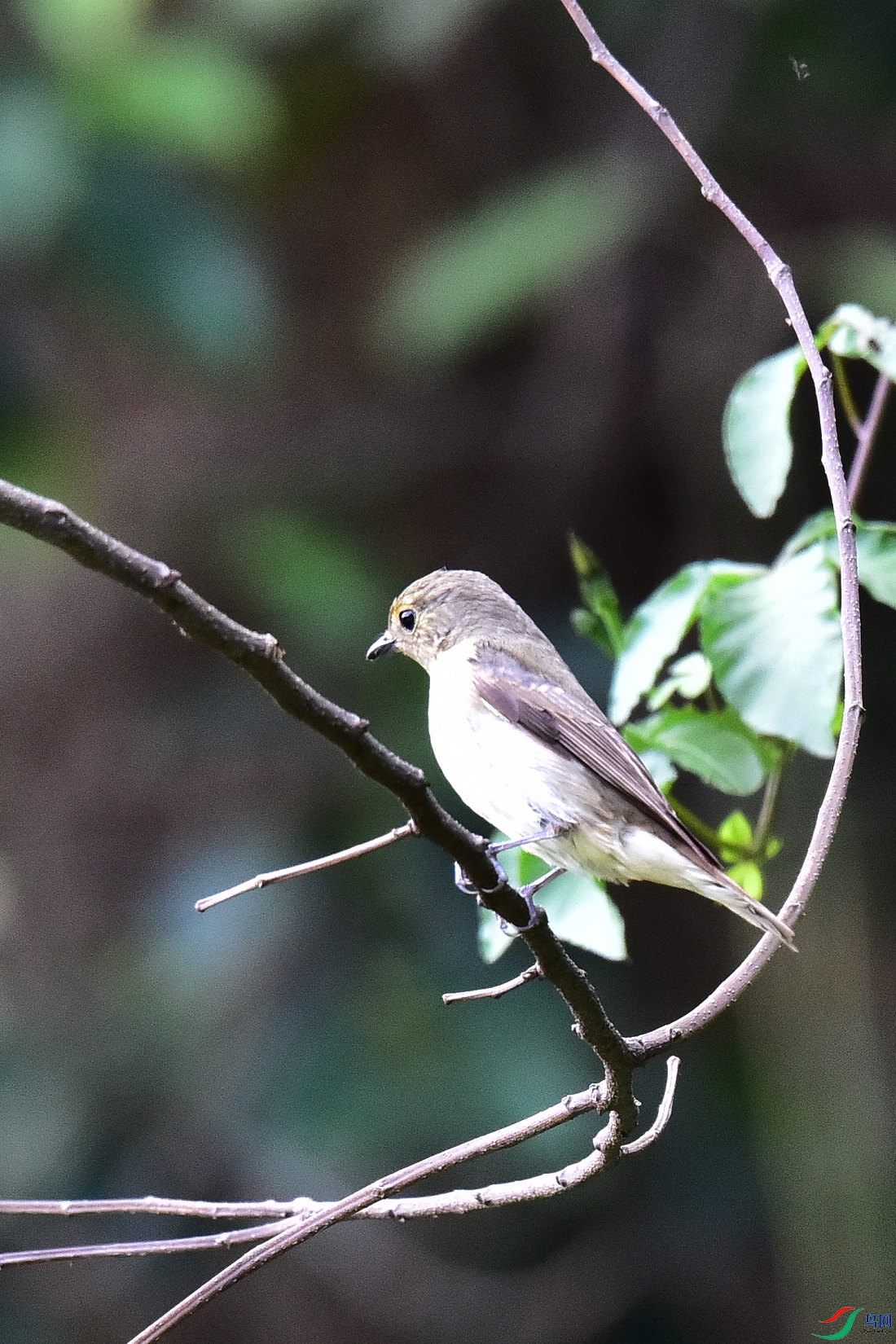 DSC_0558.JPG