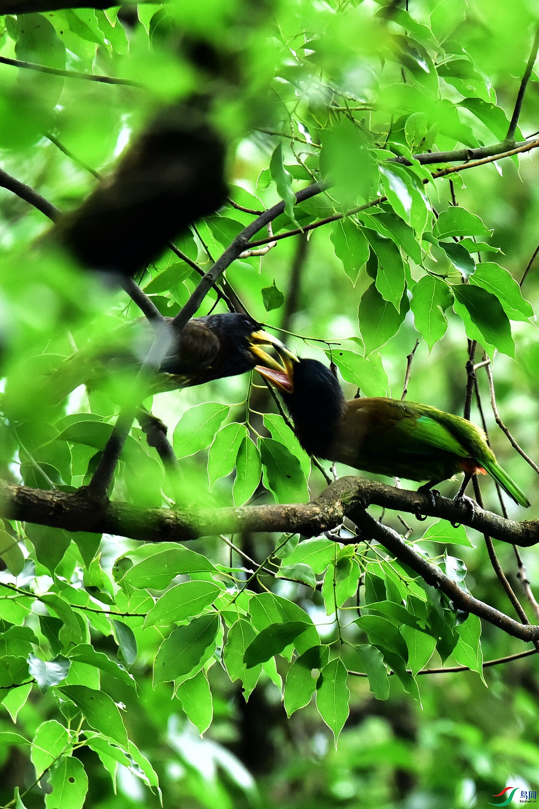 DSC_0757.JPG