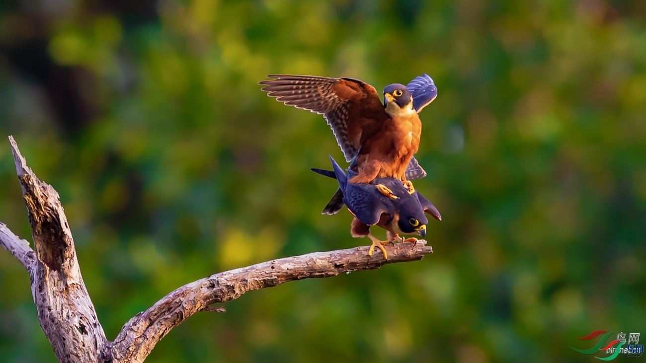 ��ɽ����  ��ʦ����������ʡ�º���徰����������.jpg