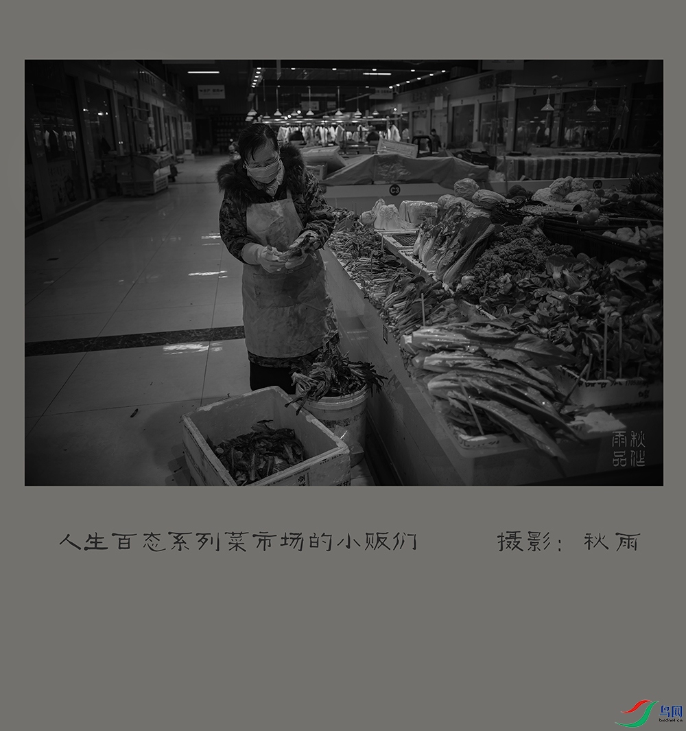 DSC00168tt.jpg