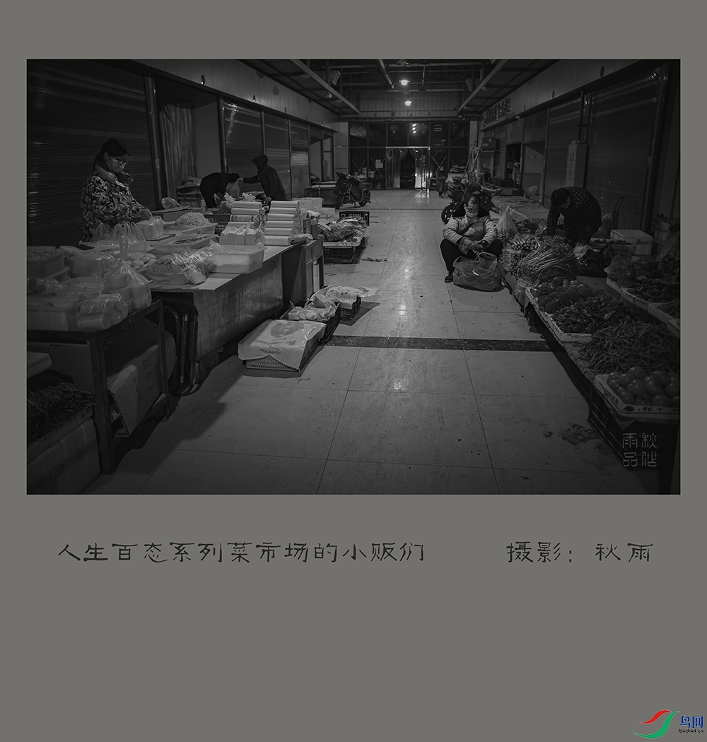 DSC00210tt.jpg