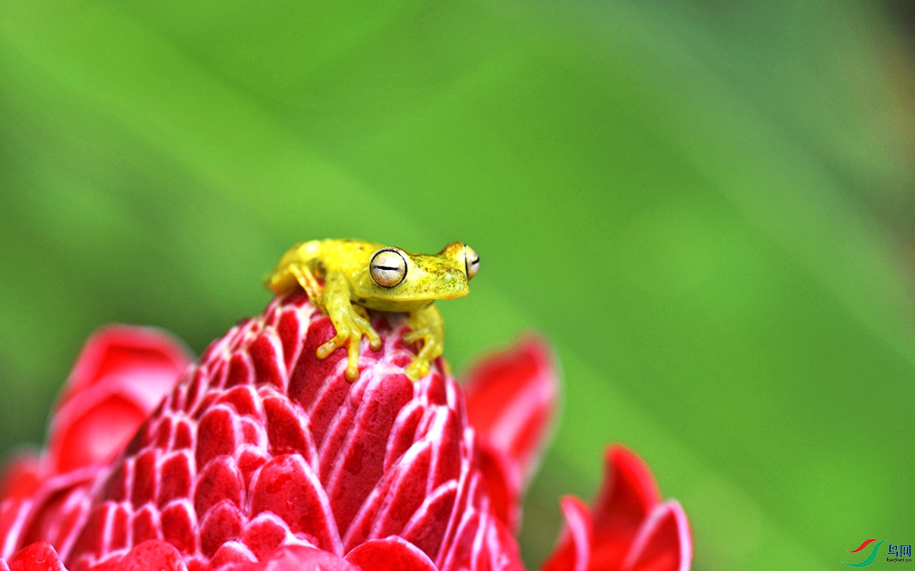 DSC_0115b.jpg